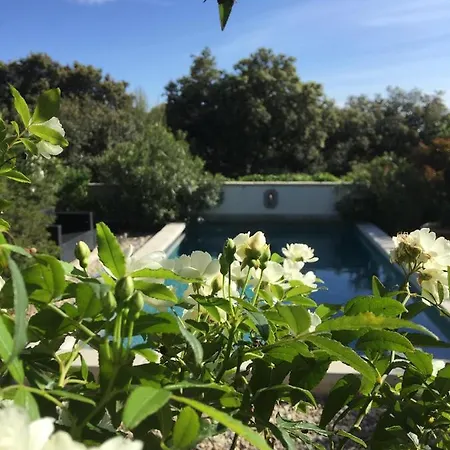 Les Santolines - A La Campagne Appartement