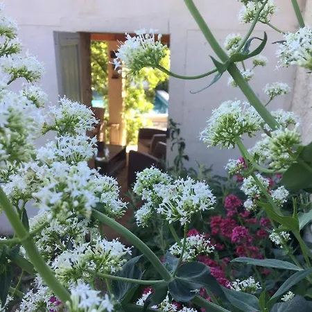 Les Santolines - A La Campagne *