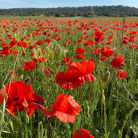 Les Santolines - A La Campagne Lejlighed